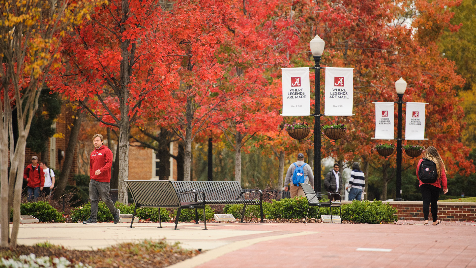 Story Image - Students walking on campus in the fall