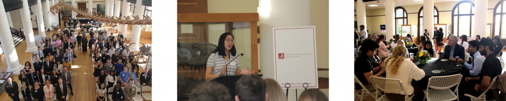 The first photo is a group shot of scholarship applicants and their endorsers. The second photo is of a student speaking at a podium with the Office of External Scholarships and Fellowships logo behind them. The third photo is of Dr. Jeff Grey sitting at a round table talking with student scholarship applicants.