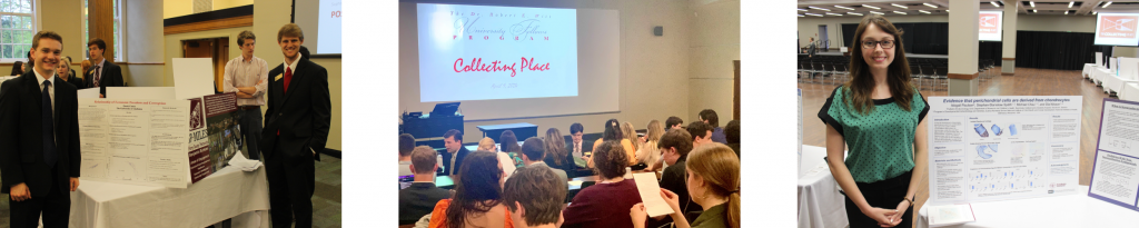 In the first photo, two Witt Fellows present their Magnum Opus project. In the second photo, Witt Fellows gather facing a projected slide that reads, "Collecting Place." In the third photo, a Witt Fellow presents their Magnum Opus project.
